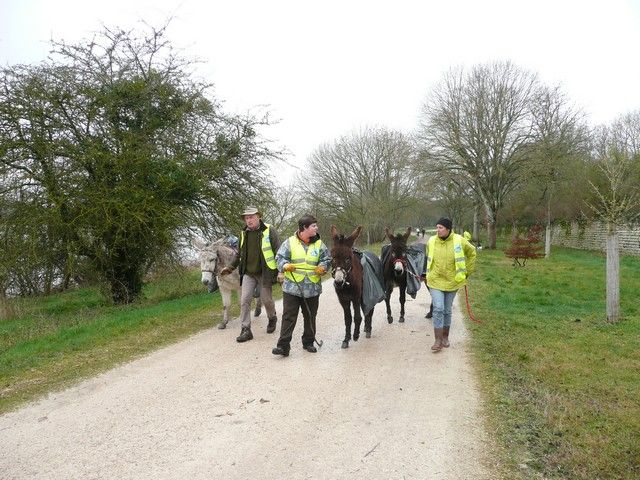 Loire propre 2014 (14).jpg